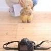 くまちゃんをぱしゃり