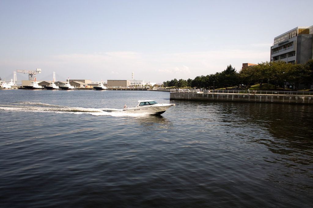 2秒タイマーで良く撮れたもんだ