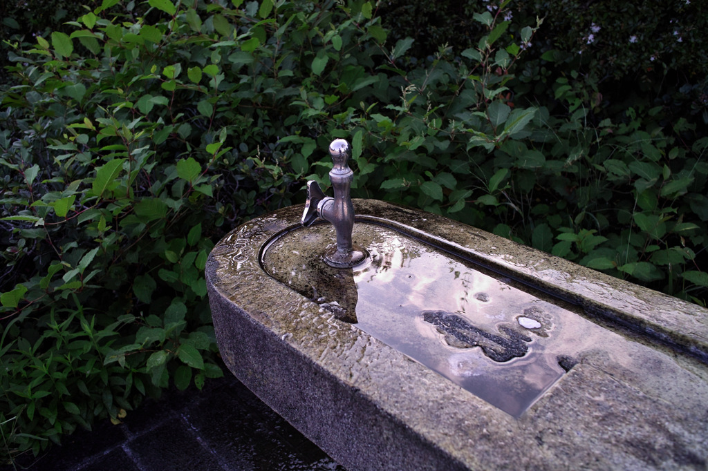 水のみ場