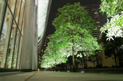 初撮り（夜景）