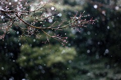 キラキラ雪