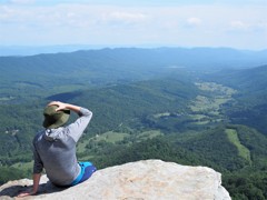 Mcafee knob