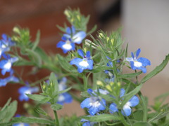 P4300017
