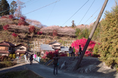 SDIM0013