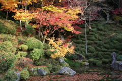 紅葉