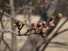 P3290012
