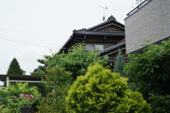 DSC06667