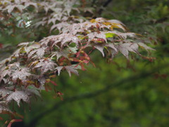 P5280100