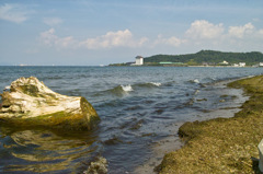 SDIM1444