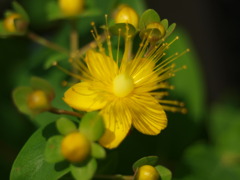 P6060159