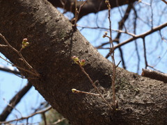 P3260007