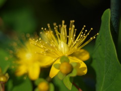 P6060160 