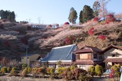 SDIM0014