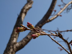 P3290013