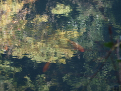PB210063