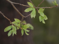 P4300001