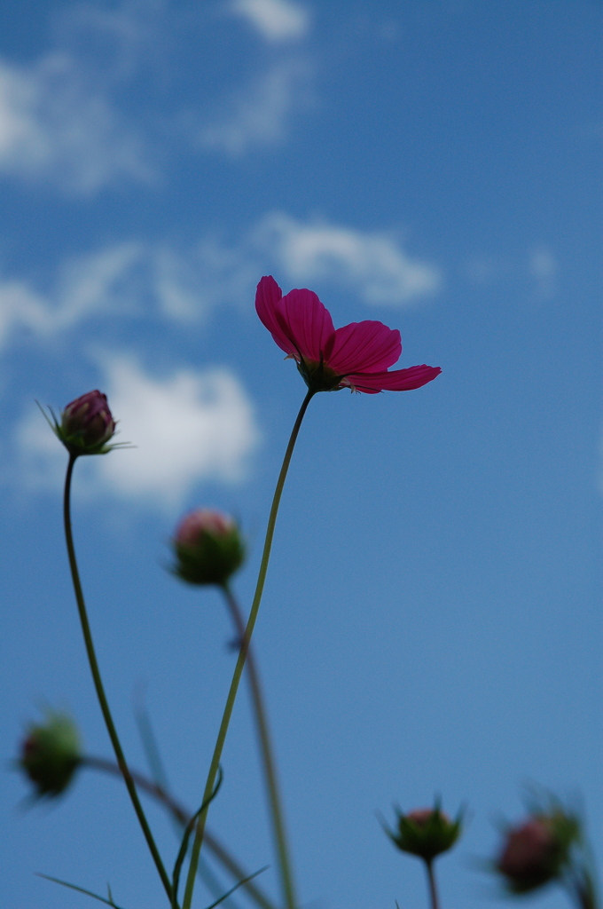 もっと空へ