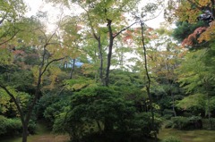 紅葉