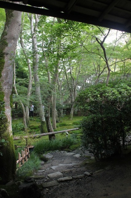 風情