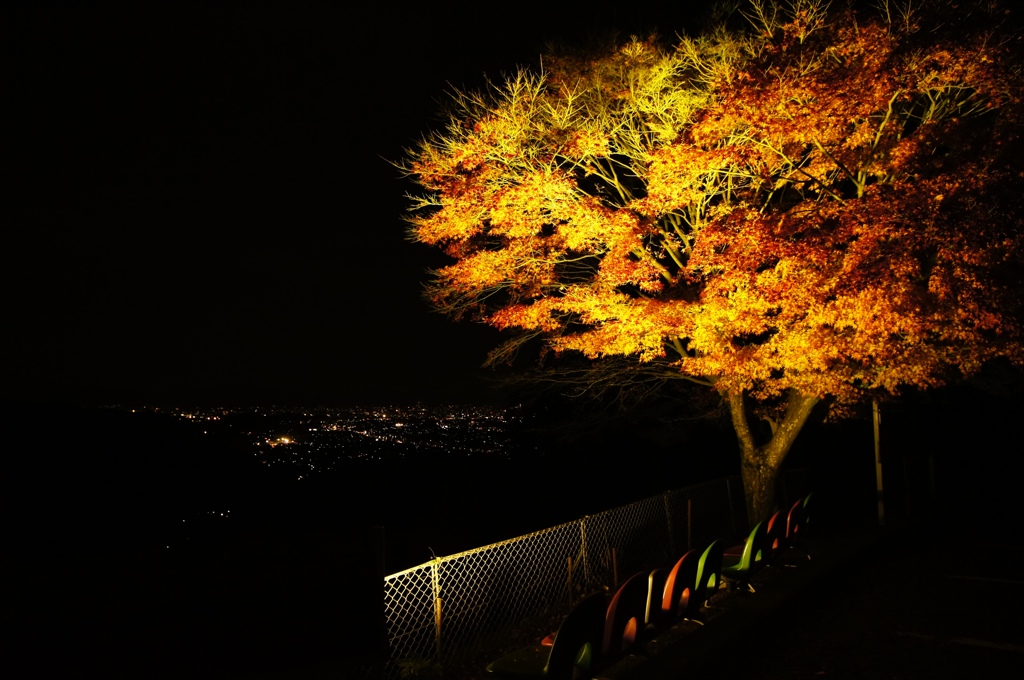 展望台in京都