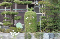 モリコロパーク