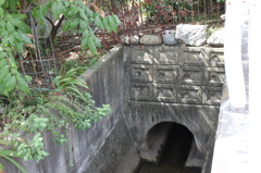 土手