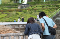 カップル＊
