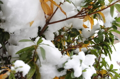 雪重い･･･