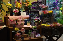 キレイな花屋さん