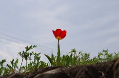 お～い！（みたいな？）