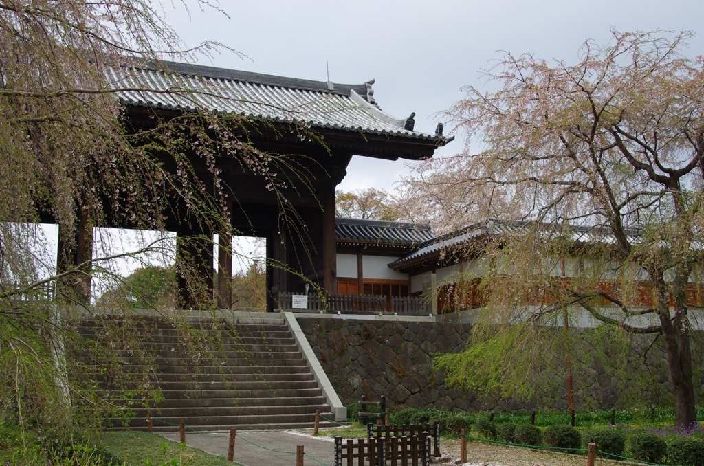 東郷寺 山門の威容