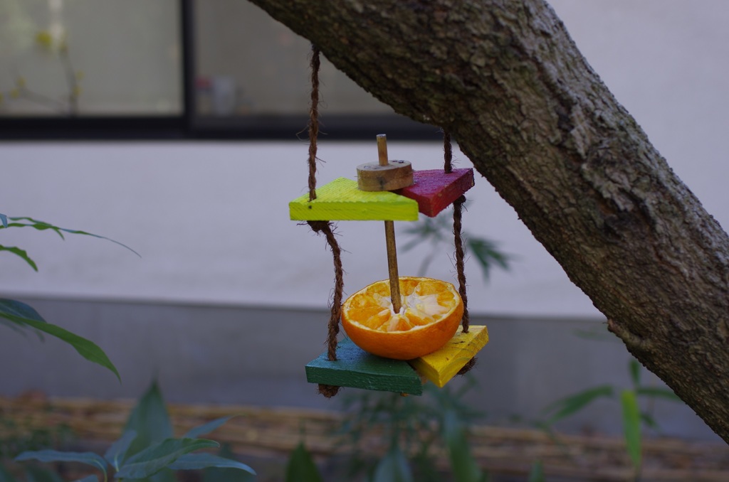 小鳥の餌台