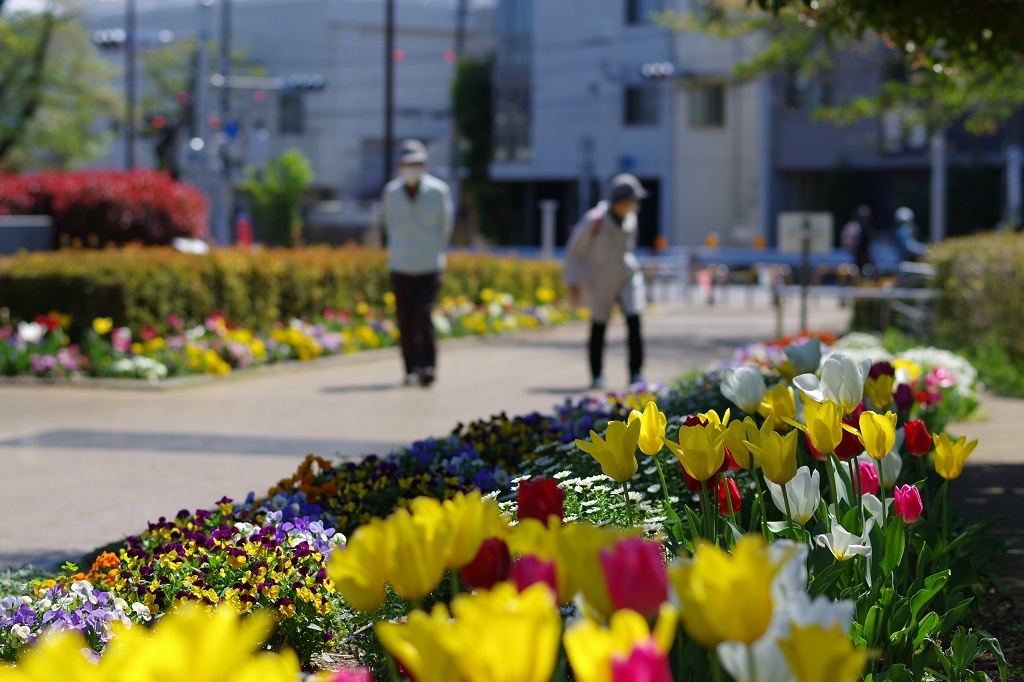 都立武蔵国分寺公園 東門