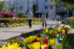 都立武蔵国分寺公園 東門