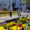 都立武蔵国分寺公園 東門