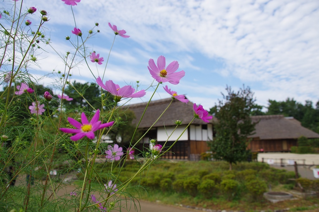 古民家バックが良く似合います