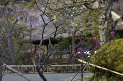 春はすぐそこに