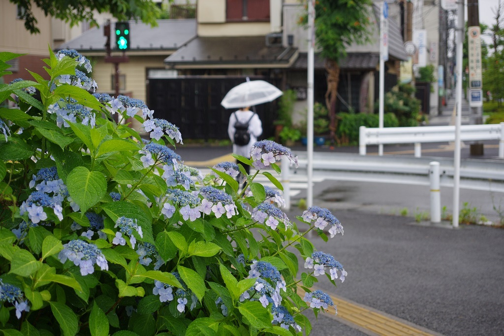 信号待ちで