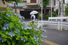 信号待ちで