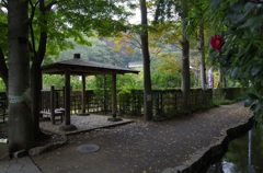 ロケ場所