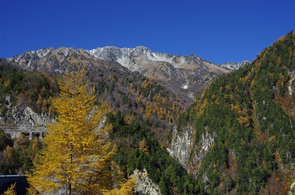 黒部ダム 紅葉２