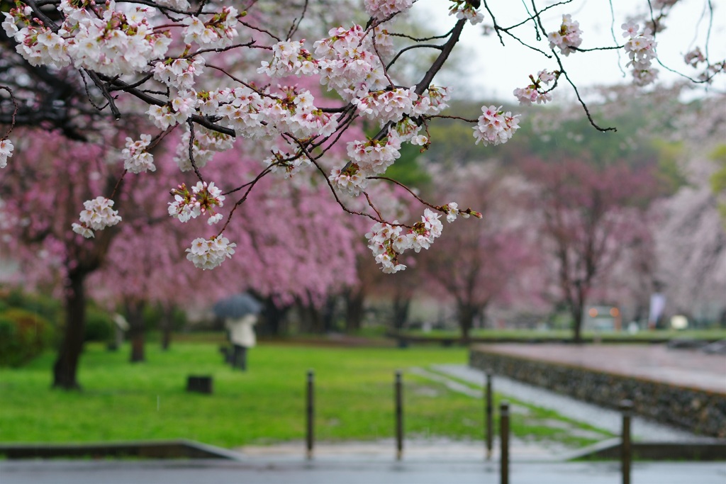 公園で