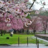 公園で