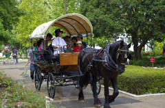 馬車は楽しいなっ！