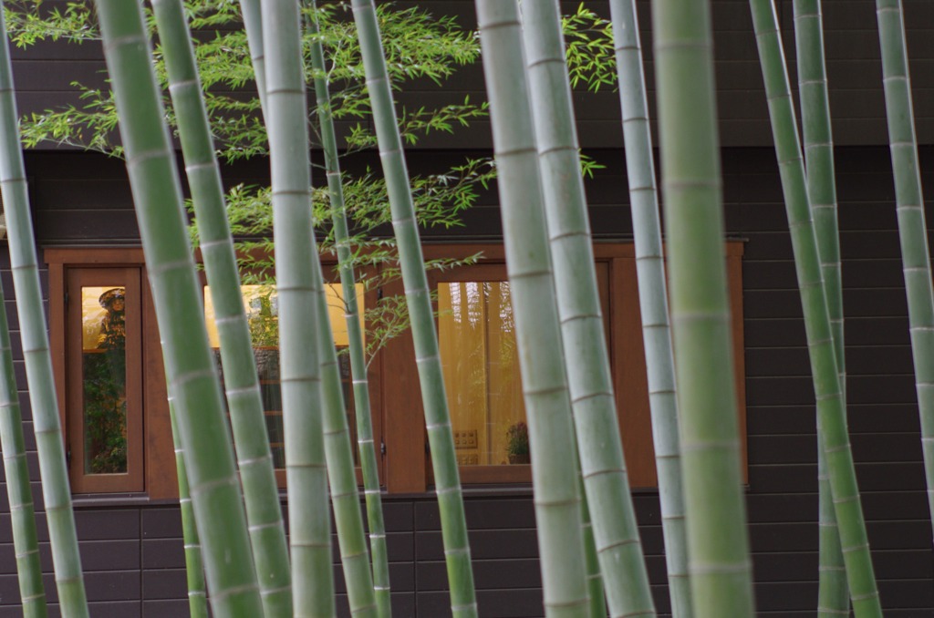 店内で珈琲はいかが？