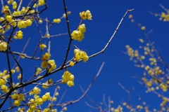 IMGP1567