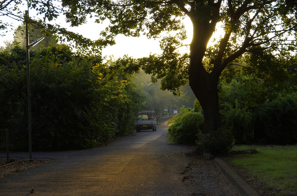 黄昏の農道
