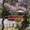 京王 百草園７