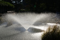 朝の噴水