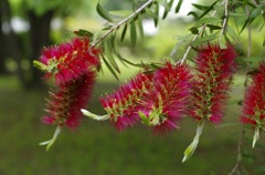 どのブラシ使おっかなぁ～？